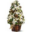 Christmas Lily Tree