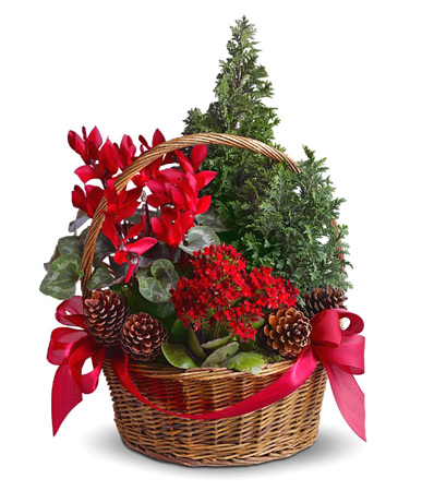 Tannenbaum Basket Christmas Planter