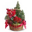 Tannenbaum Basket