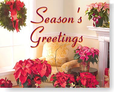 'Season's Greetings' Poinsettias eCard