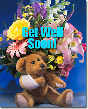 Free 'Get Well Soon' Virtual Flowers and Bear eCard at 800-Florals