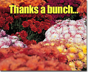 Thanks a Bunch Virtual Flowers eCard