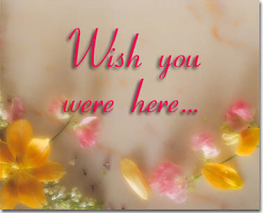 Wish You Were Here Virtual eGift