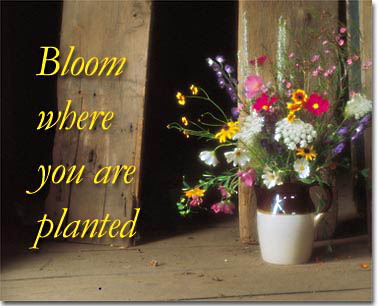 'Bloom' Virtual eCard